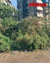 आरएसएसच्या शाखेत लहान मुलं प्रशिक्षण घेत होती तितक्यात झाली दगडफेक...