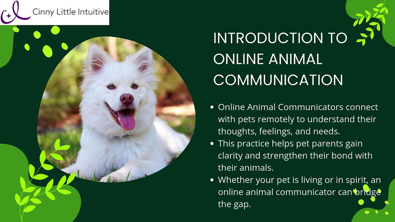 Trusted Online Animal Communicator – Hear What Your Pet Has to Say