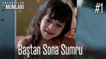 Baştan Sona Sumru #1