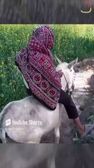 चुटकुले बनाने की Ninja Technique || आचार्य प्रशांत