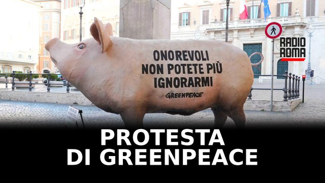 Un maiale gigante di fronte alla Camera la protesta di Greenpeace contro gli allevamenti intensivi