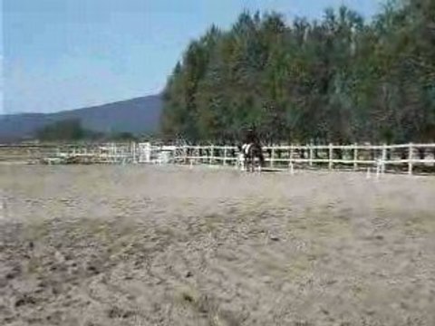 inposé club poney grand prix