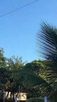 Vídeo flagra o avião rodopiando momentos antes de cair em aldeia indígena