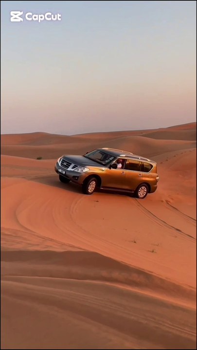 Evening Desert safari