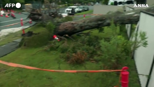 Australia colpita dal ciclone Alfred, raffiche di vento forte sulla costa orientale