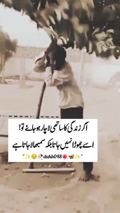 Wafadari