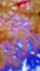 Rooh Khan - Haal (Official Music Video) | Latest Punjabi Songs