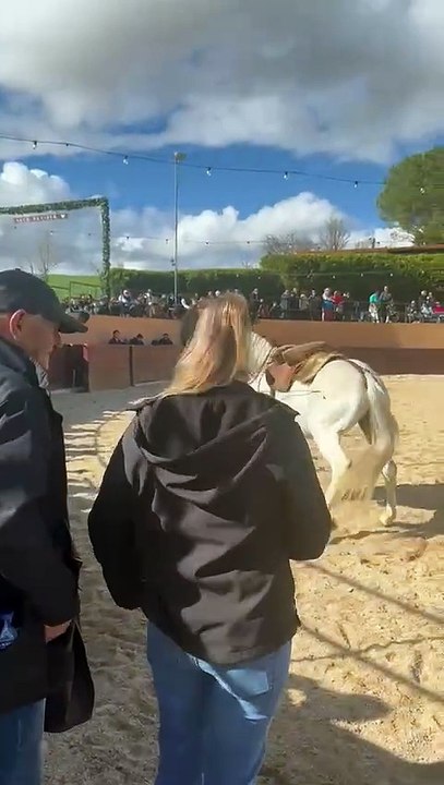ana rita