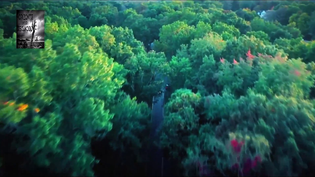 Fantasmas: Experiencia Paranormal a Domicilio - 1x3