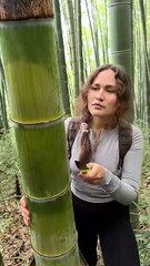 The_GIRL_s_skills_are_AMAZING🎋#camping_#survival_#bushcraft_#outdoors_#lifehack