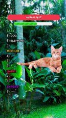 Can You Guess the Animals from Their Pictures? 🐾 | Animal Names in English