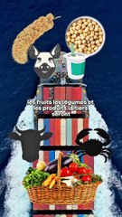 🚨 La Chine riposte contre les États-Unis