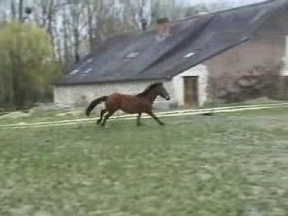 Succès saut liberté