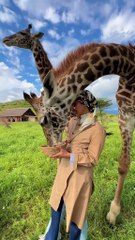 Amazing African wildlife #animallife #travel