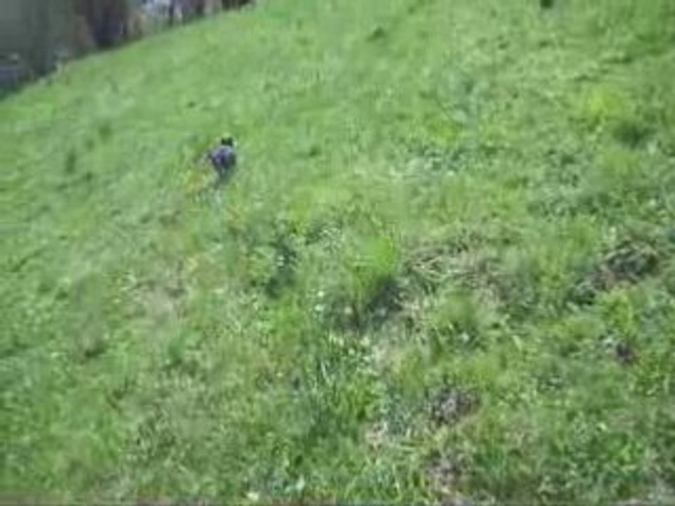 Cléa joue à la balle