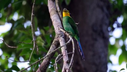 The Last Time Ep 4 Engsub