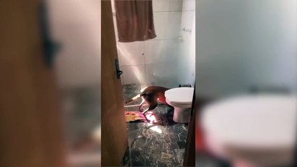 Homem é preso em flagrante por tráfico de drogas na Rua Kamaças