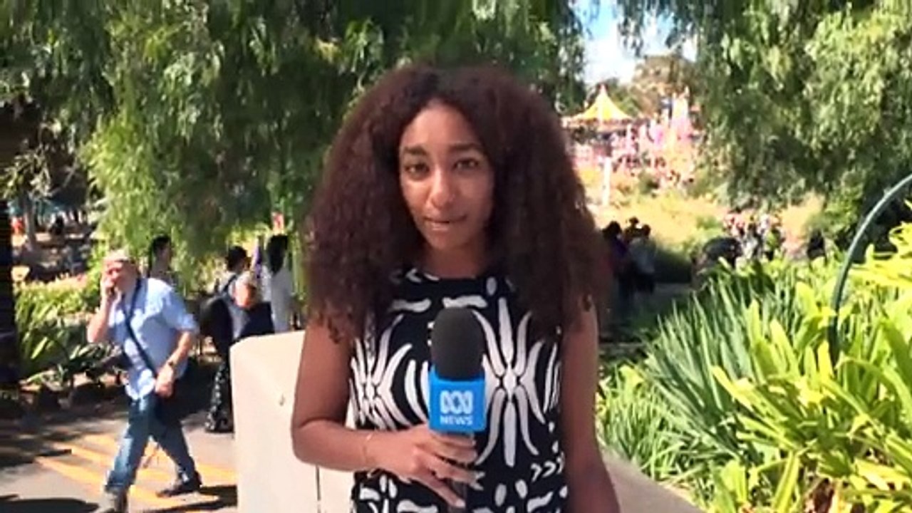 Record crowds brave Melbourne heat for 71st Moomba Festival