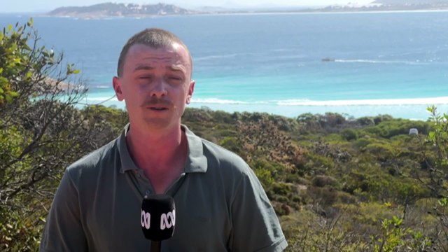 Surfer missing off Western Australia's south-east coast after shark attack