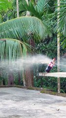 Amazing African wildlife #animallife #travel