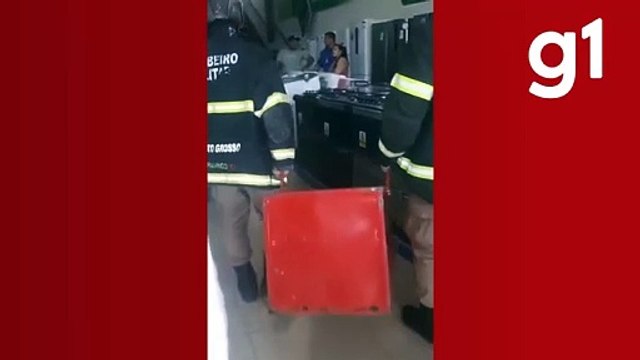 Pit bull invade loja de móveis, assusta clientes em MT e é resgatado pelos bombeiros