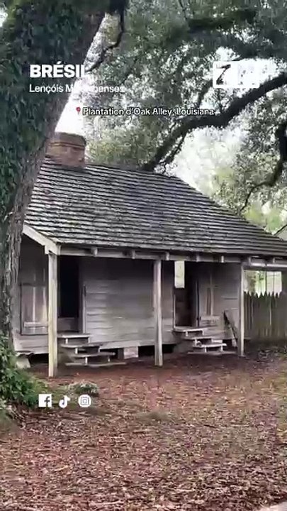 Oak Alley : L’Histoire Oubliée des Esclaves Sous les Chênes Majestueux.