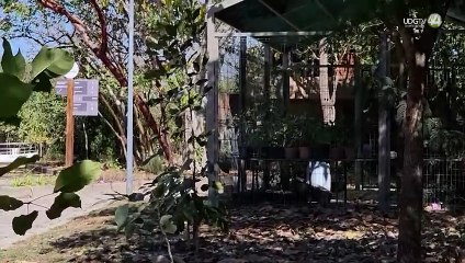 Resalta el rector del CUCosta, Jorge Téllez López, la reapertura del estero El Salado