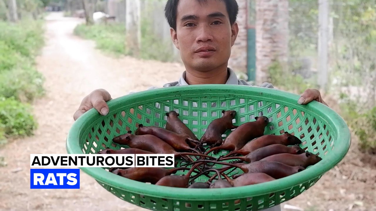 Adventurous Bites: Roasted rats in Vietnam