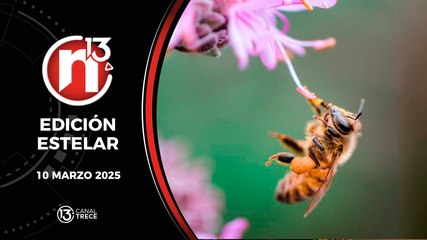 10 Marzo 2025 | Edición Estelar - Trece Noticias