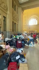 Solidaridad argentina mata batalla cultural