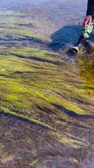 ,,,,,,,,,,,,,Man catch a fishes,,,,,,,,