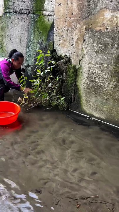 ,,,,,,,,,,,,Woman catching fishes,,,,,,,,,