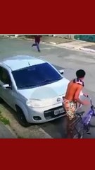 VÍDEO: Cachorro ataca criança em bicicleta e gato parte para o resgate
