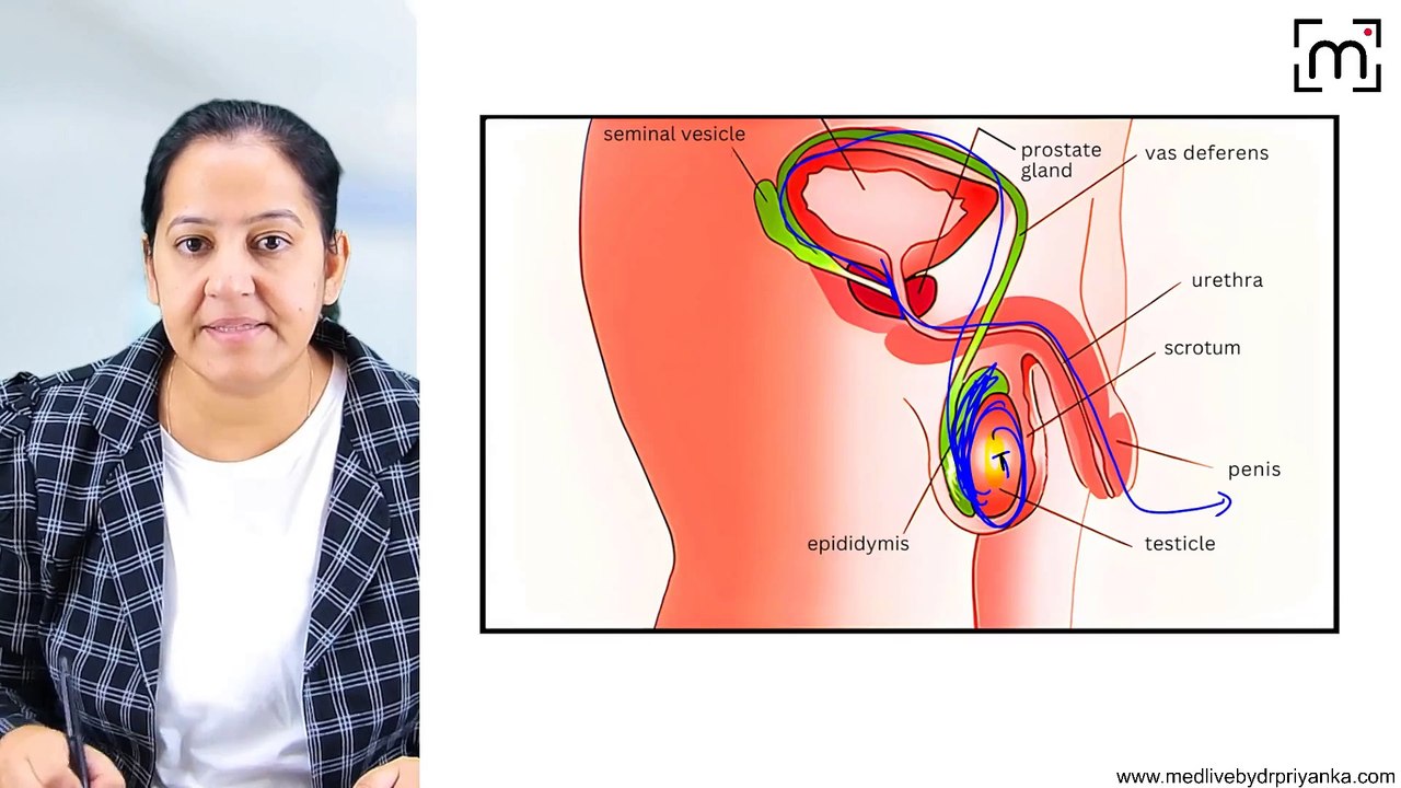 4. Male Infertility