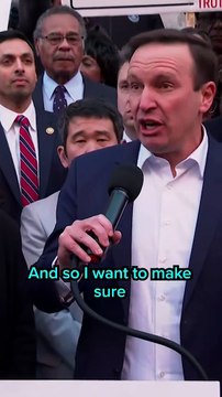 Democratic lawmakers protesting against Elon musk