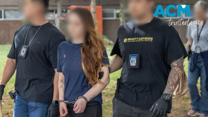 'Fake terrorism' masterminds sought after 14 arrests in antisemitic crime probe