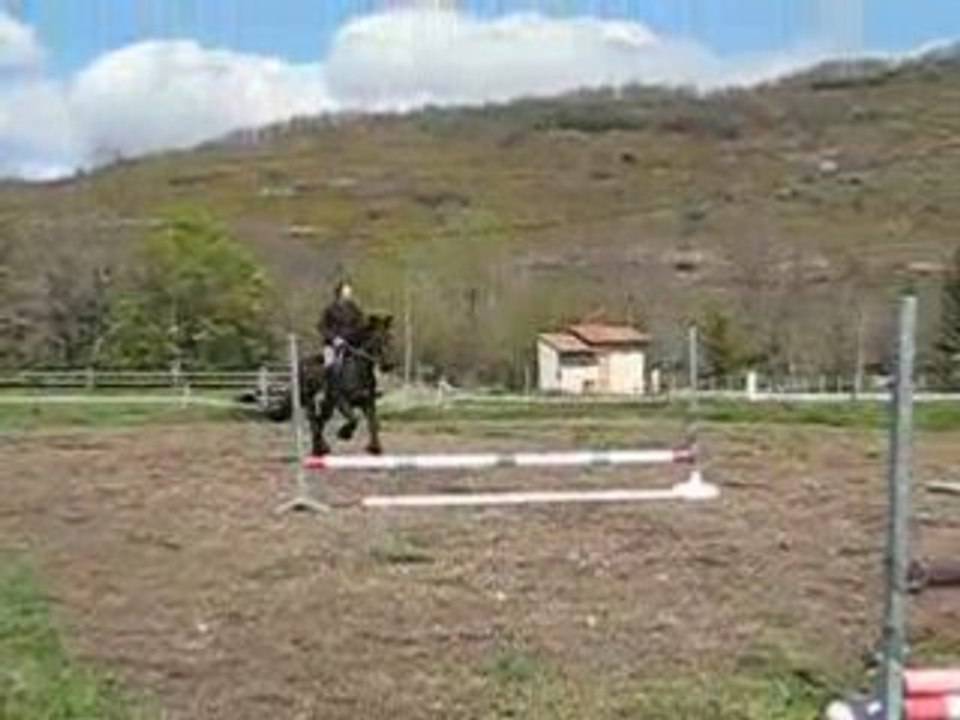 Néro double 3, avril 2OO8 (3ème tentative)