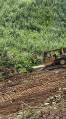 D6R XL Conquer Mountainous Land with Ease