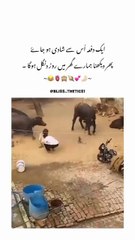 Couples nice fighting video