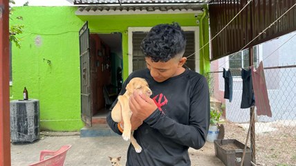 Joven recupera a su cachorro, presuntamente robado en Kanasín