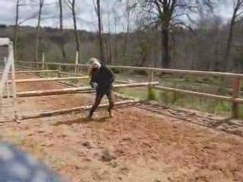 Folles dingues vidéo_0001