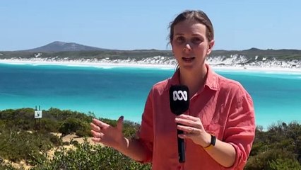 Surfer missing after shark attack at Wharton Beach near Esperance