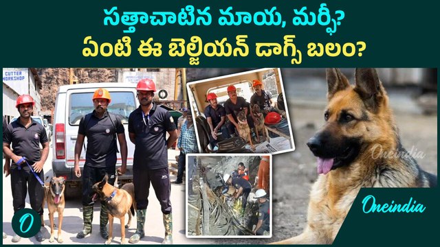SLBC Tunnel Collapse - NSG Commando కు తీసిపోని Cadaver Dogs. ఇదే బలం | Oneindia Telugu