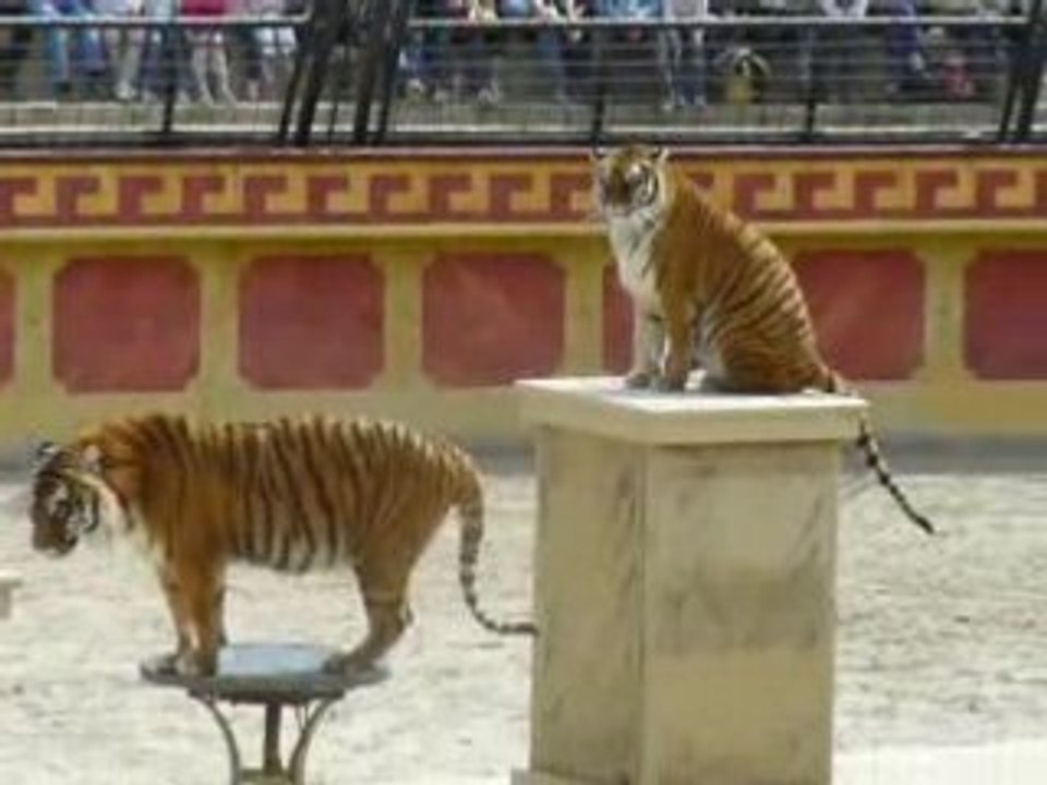 Gladiateurs (Puy du Fou)