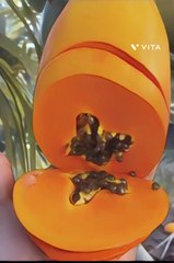 "Unbelievable Mango Madness: Discover the Ultimate Fruits of Summer! 🥭"