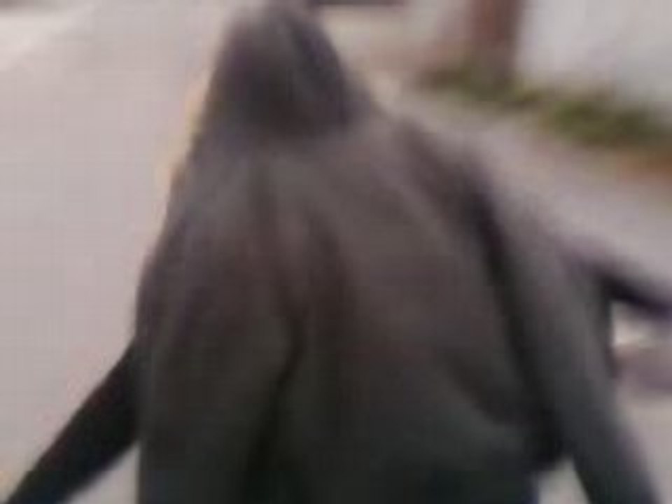 D-liire De Siistàh'