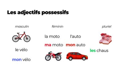 A1 - Les adjectifs possessifs