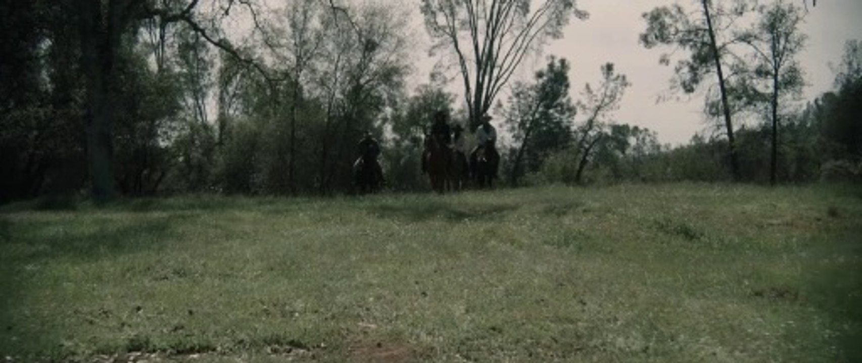 Among the Willows Trailer OV