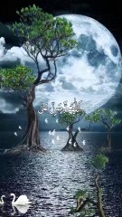 Darood E Noor # Durood Shareef