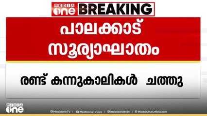 പാലക്കാട് സൂര്യാഘാതമേറ്റ് രണ്ട് കന്നുകാലികൾ ചത്തു
